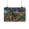 Sandstone Oven - Giclee-Printed Fine Art Photographic Print on Museum Grade Paper
