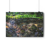 Stoney Creek - Giclee-Printed Fine Art Photographic Print on Museum Grade Paper