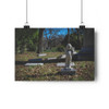 Gone Too Soon - Giclee-Printed Fine Art Photographic Print on Museum Grade Paper