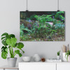 Tsuga Rising - Giclee-Printed Fine Art Photographic Print on Museum Grade Paper