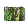 Tufted Towers - Giclee-Printed Fine Art Photographic Print on Museum Grade Paper