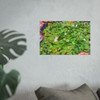 White Lotus - Photographic Print