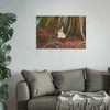 Window Through Entropy - Photographic Print