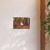 Window Through Entropy - Photographic Print