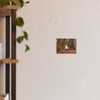 Window Through Entropy - Photographic Print