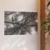 Winter Branch - Photographic Print