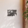 Winter Branch - Photographic Print