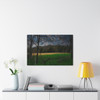Amber Waves - Stretched Canvas Print