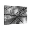 Winter Branch - Stretched Canvas Print