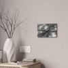 Winter Branch - Stretched Canvas Print