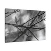 Winter Branch - Stretched Canvas Print