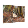Window Through Entropy - Stretched Canvas Print