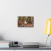 Window Through Entropy - Stretched Canvas Print