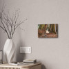 Window Through Entropy - Stretched Canvas Print