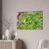 White Lotus - Stretched Canvas Print