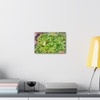 White Lotus - Stretched Canvas Print