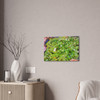 White Lotus - Stretched Canvas Print