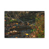 Murmuring Brook - Stretched Canvas Print