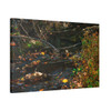 Murmuring Brook - Stretched Canvas Print