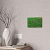 Mint Blooms- Stretched Canvas Print