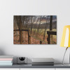 Ozark Fall - Stretched Canvas Print
