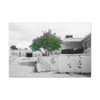 Beauty Among Ruins - Stretched Canvas Print
