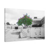 Beauty Among Ruins - Stretched Canvas Print