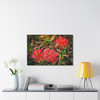Red Spiders - Stretched Canvas Print