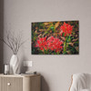 Red Spiders - Stretched Canvas Print