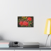 Red Spiders - Stretched Canvas Print