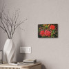 Red Spiders - Stretched Canvas Print