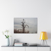 Lonely Oak - Stretched Canvas Print