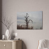 Lonely Oak - Stretched Canvas Print