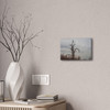 Lonely Oak - Stretched Canvas Print