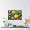 Just Dandy- Stretched Canvas Print