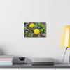 Just Dandy- Stretched Canvas Print