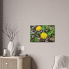 Just Dandy- Stretched Canvas Print