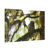 Owl Kami - Stretched Canvas Print