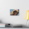 Beauty's Decay - Stretched Canvas Print