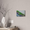 Nature Reclaiming - Stretched Canvas Print