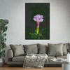 Devil's Trumpet - Photographic Print