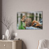 Biding His Time - Stretched Canvas Print