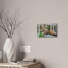 Biding His Time - Stretched Canvas Print