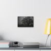 Haunted Oak - Stretched Canvas Print