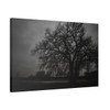 Haunted Oak - Stretched Canvas Print