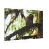Watchful Kami - Stretched Canvas Print