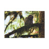 Watchful Kami - Stretched Canvas Print