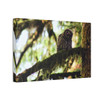 Watchful Kami - Stretched Canvas Print