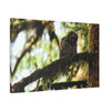Watchful Kami - Stretched Canvas Print