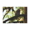Watchful Kami - Stretched Canvas Print